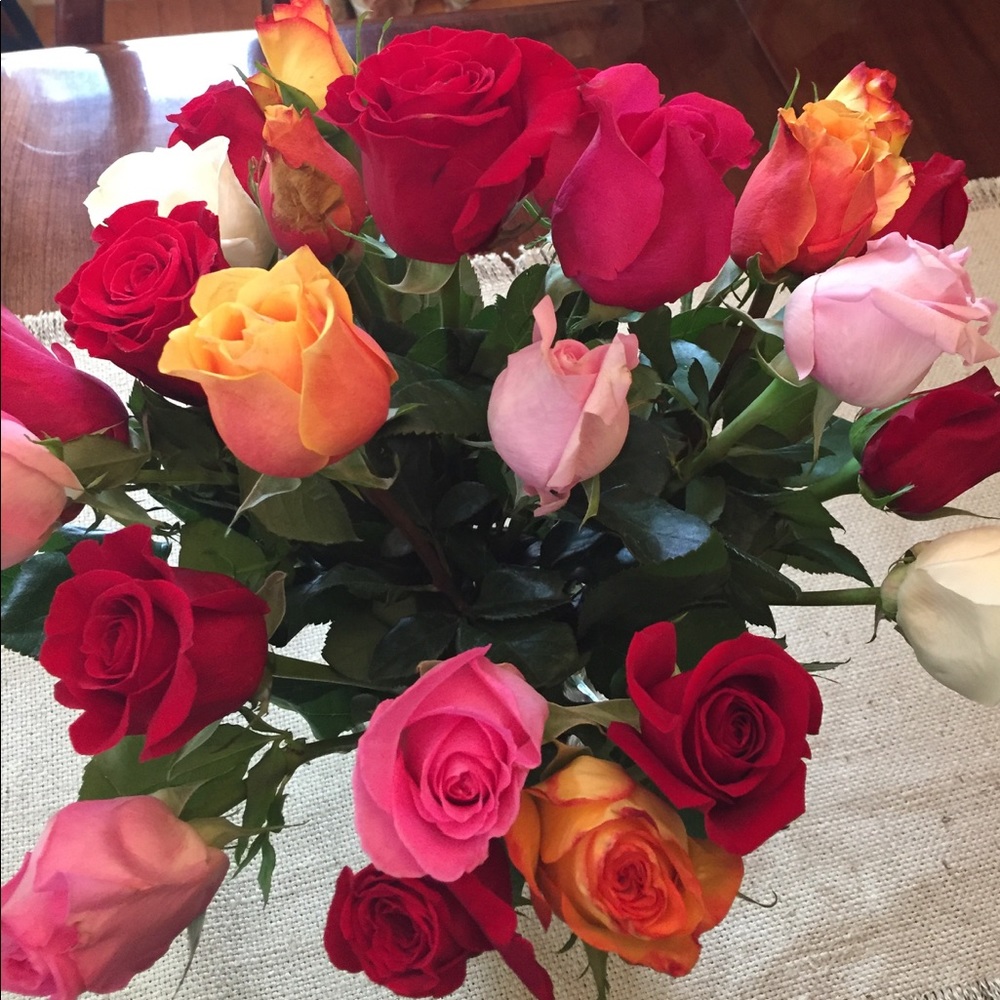 Meet your Posher, Jane